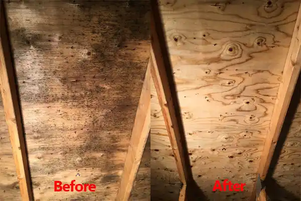 water damage restoration service Revere
